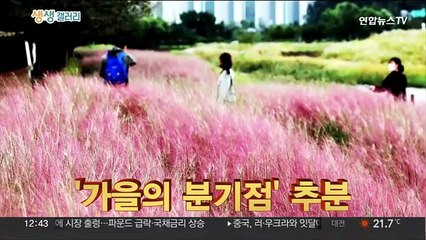 [생생갤러리] '가을의 분기점' 추분 外