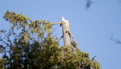 Alaska Aircrash Investigations Staffel 1 Folge 3 HD Deutsch