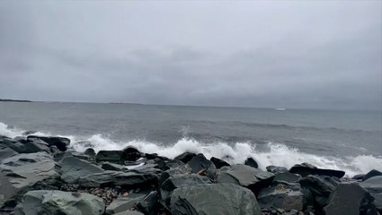 Hurricane Fiona begins roaring into Nova Scotia