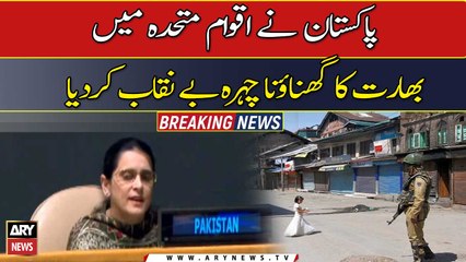 Pakistan reveal’s India’s true face in the UN