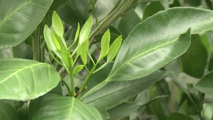 친환경 미생물로 재배...탄소 저감·소득 증대 / YTN