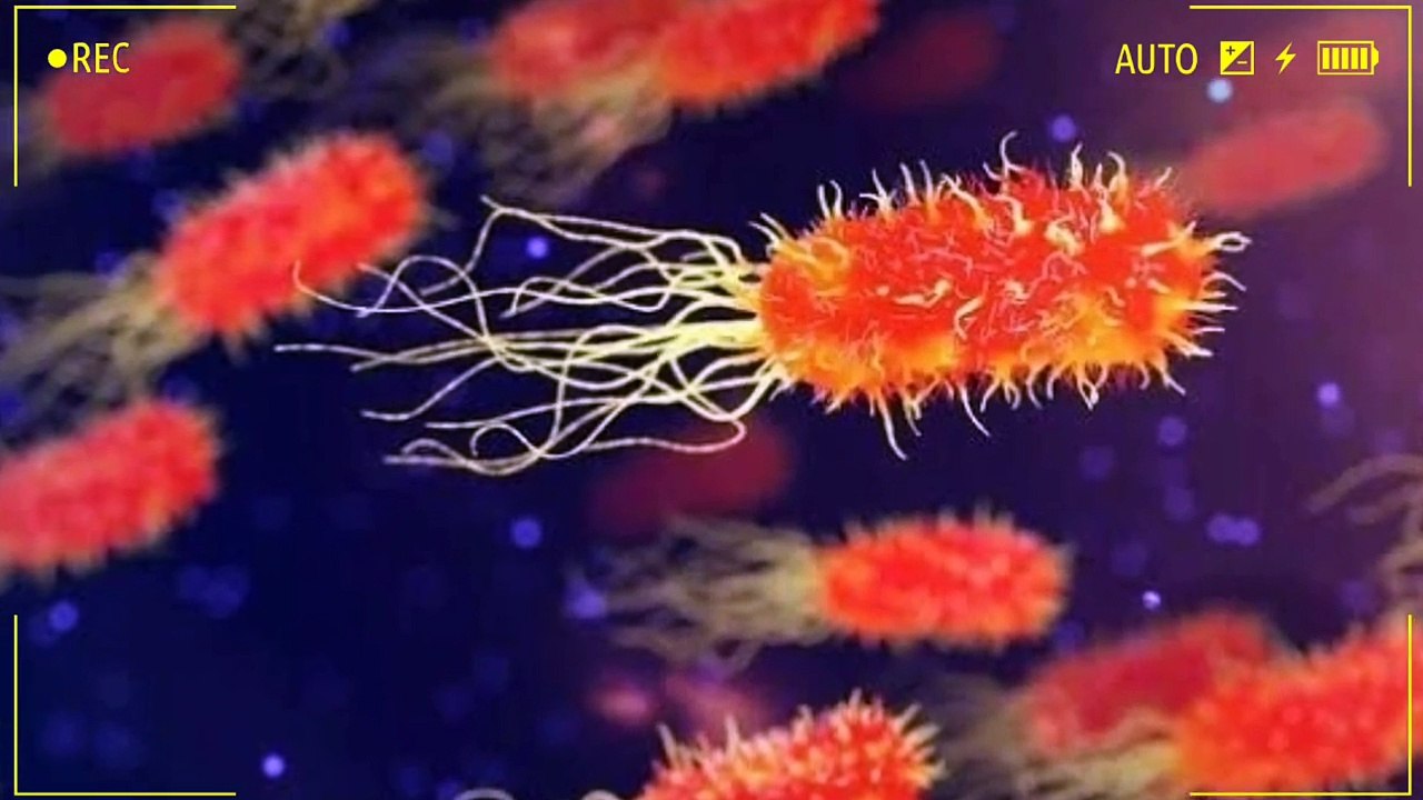 Fact about Lake Natron, the Lake that Turns Animals to Stones ( 720 X 1280 )