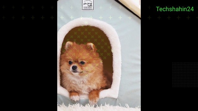 Pets House and Sleeping Bed Techshahin24