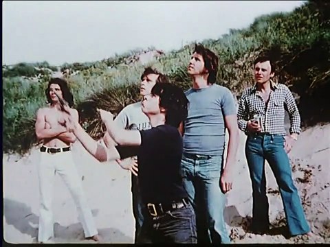 Because of the Cats Bande-annonce (EN)