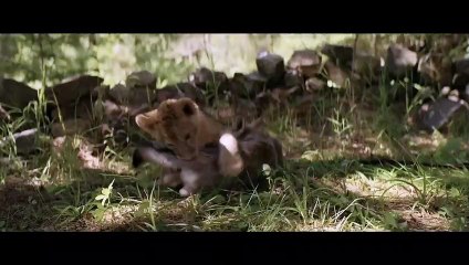 Le Loup et le Lion Bande-annonce (DE)