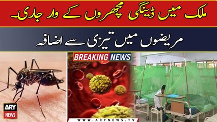 Dengue epidemic: Federal capital reports 85 new cases