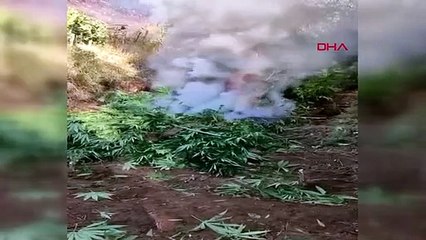 PKK'nın finans kaynağına darbe; 630 kilo esrar ele geçirildi