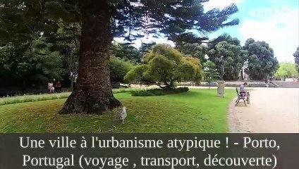 J'ai regardé "Guess the Language, win 5 Euros @Language Si | Wouter Corduwener" et d'autres vidéos