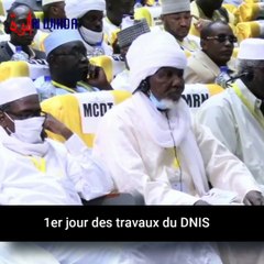 Tchad : premier jour de travaux du DNIS