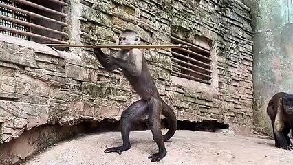 Who knows what he wants?