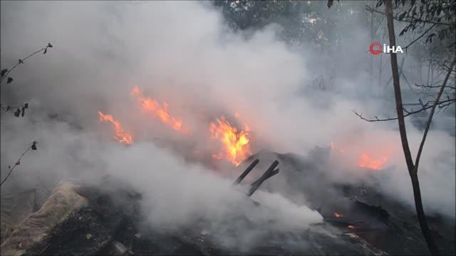 Yıldırımın düştüğü ağaçlık alan alev alev yandı