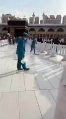 Omg shorts viral trending