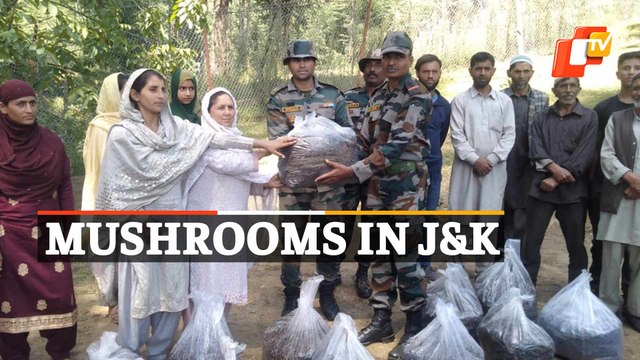 How To Launch Mushroom Farming In J&K - Indian Army conducts mushroom farming workshok in Doda
