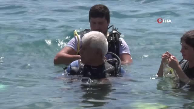 Antalya haber: Av yasağı etkisini gösterdi, Antalya Körfezi'nde her taşın altından 'Lagos' balığının yavrusu çıkıyor