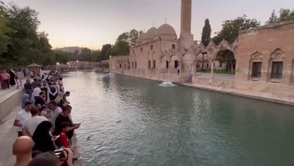 ŞANLIURFA - Sonbahar turizmi hareketliliği rezervasyonlara yansıdı