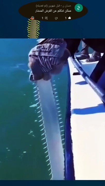 هل سبق لك وأن شاهدت _ سمكة النجار