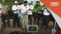 Kempen 100 Juta Pokok | 545,000 pokok berjaya ditanam di Selangor setakat 22 September