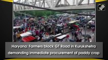 Haryana: Farmers block GT Road in Kurukshetra demanding immediate procurement of paddy crop