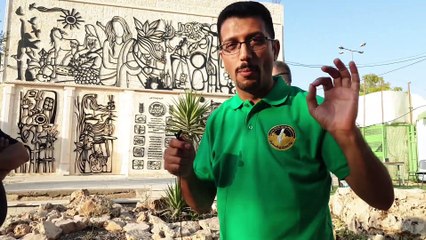 #شاهد  : مدينة دورا .. مدينة الجداريات - الخليل - فلسطين