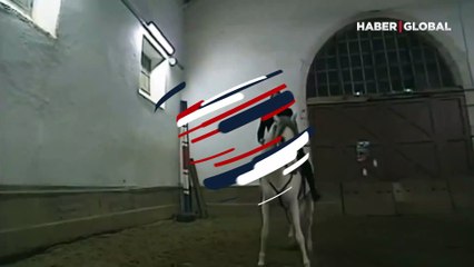 Zidane'ın attan düşüşü sosyal medyada gündem oldu