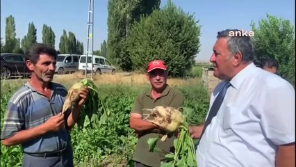 CHP'li Gürer: Şekerdeki artış şeker pancarındaki fiyat artışına dönüşmedi