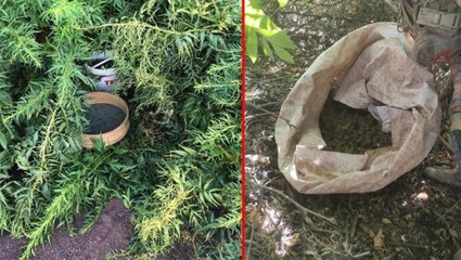 PKK'nın finans kaynağına darbe! Lice'de 630 kilo esrar ele geçirildi