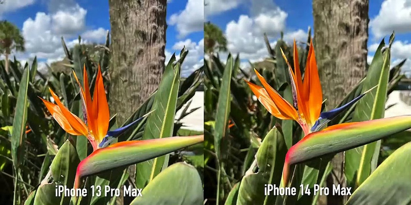 iPhone 14 Pro Max vs iPhone 13 Pro Max Unboxing and Camera Test_ 48MP!