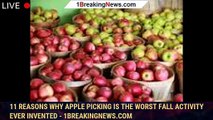 11 reasons why apple picking is the worst fall activity ever invented - 1breakingnews.com