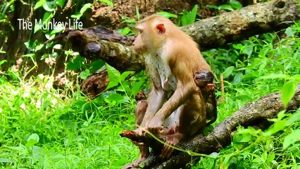 I'm so cold mummy...! Please stop swim!