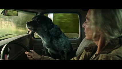 Lou Bande-annonce (UK)