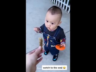 Best_Funny animals vedios for animals