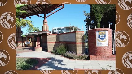 هذا هو السبب في أن الثعابين تبتلع ثعابيناً أخرى