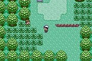 Pokemon Emerald Enhanced online multiplayer - gba