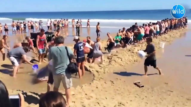 Animals That Asked People for Help! Help & Kindness Faith in Humanity Restored