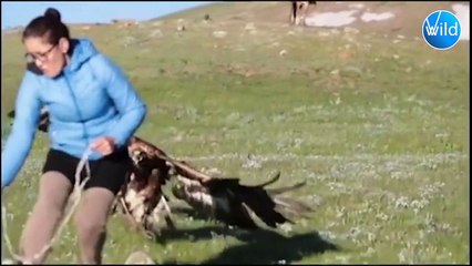 The Best Of The Hungry Eagle's Craziest And Most Savage Hunting Moments