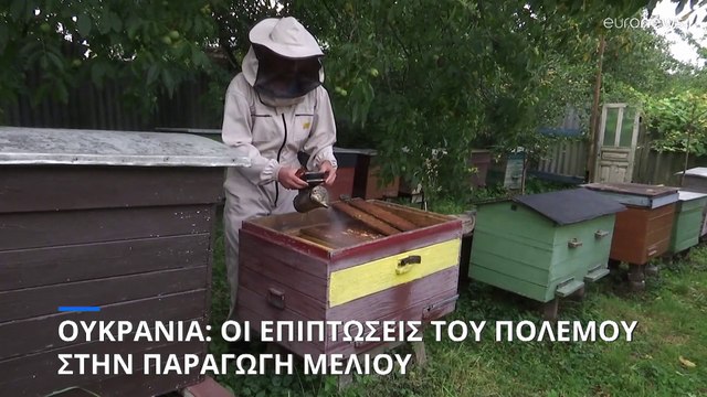 Ουκρανία: Οι επιπτώσεις του πολέμου στην παραγωγή μελιού