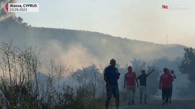 Кипр: лесной пожар под Лимасолом