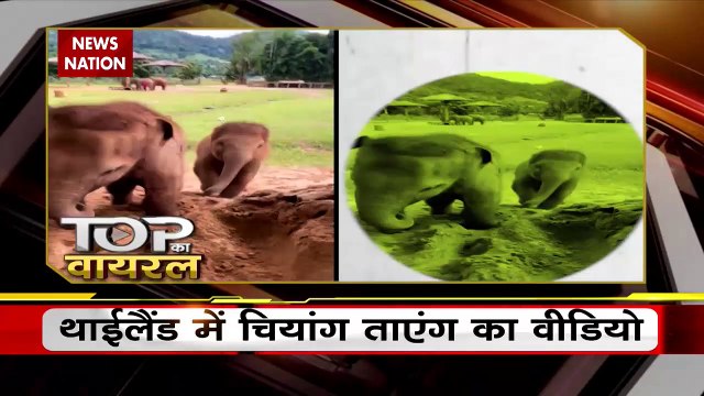 Viral Videos : देखिए सोशल मीडिया पर वायरल वीडियो का Countdown | Top 10 viral video |
