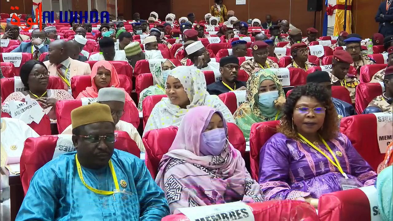 Pr. Ali Souleymane Dabye : "il faut instaurer la bourse des étudiants et confier la gestion du CNOU à des gestionnaires privés". #Tchad #DNIS