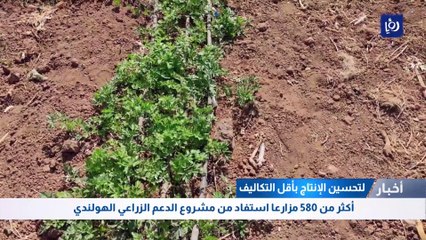 أكثر من 580 مزارعا استفاد من مشروع الدعم الزراعي الهولندي