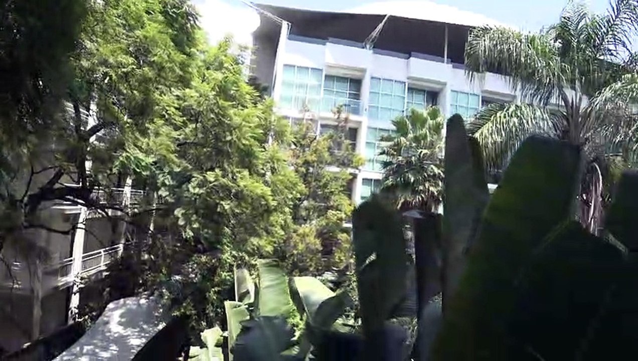 jungle in cuernavaca