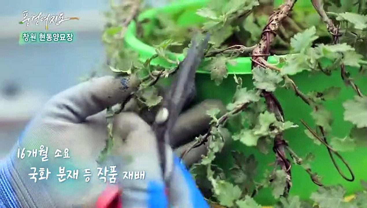 [풍경여지도] 가을 향기 깃든 바다 여행 - 경남 창원 2부