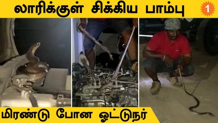 Lorry Engine-ல் சிக்கிய பாம்பை பத்திரமாக பிடித்த நபர்
