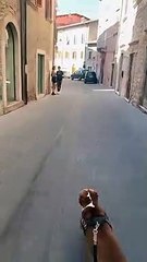 Skateboarding With My Dog