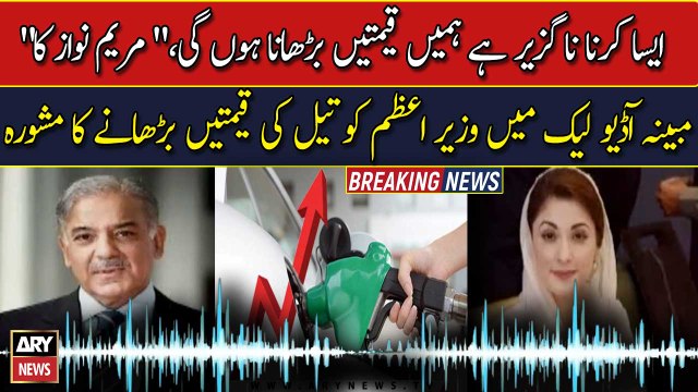 Maryam Nawaz advises PM to raise oil prices in alleged audio leak