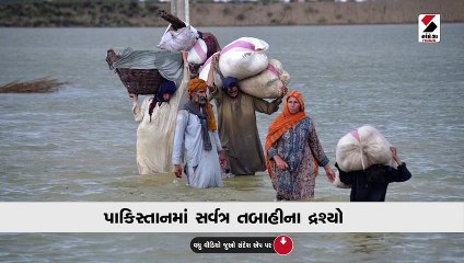 પાકિસ્તાનમાં પૂરથી 1600થી વધુના મોત