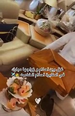 أحلام تحذر زوجها بعد هذا الطلب على طائرتها الخاصة: اللي يزعجني يا ويله