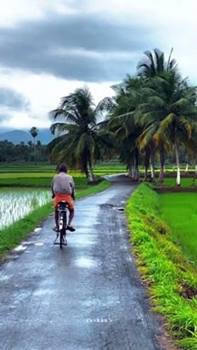 Clean and Green Nature