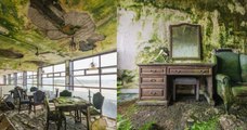 Il visite un hôtel abandonné en Irlande et se retrouve dans un lieu digne de la Planète des singes