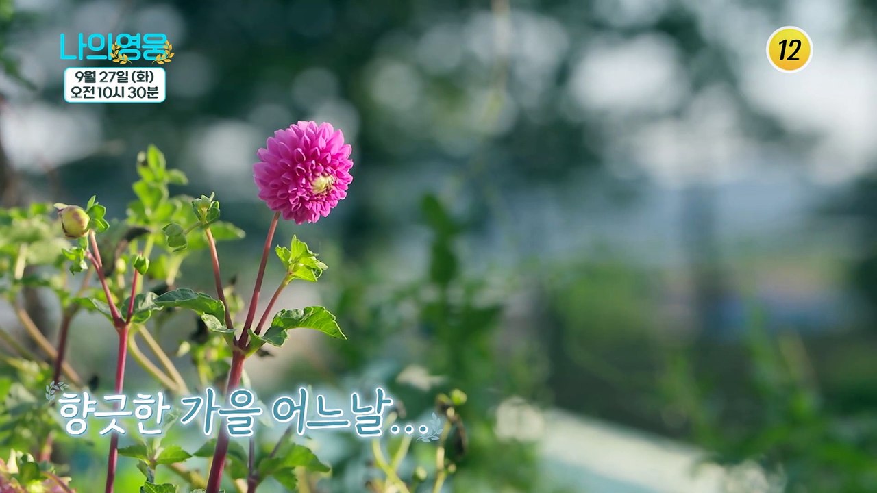 유지나 모녀의 유쾌한 일상 본방사수!_나의 영웅 6회 예고 TV CHOSUN 2209...